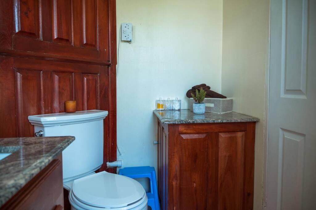 Cozy Apartment W/Ocean View, Pool & Beach Access Montego Bay Buitenkant foto